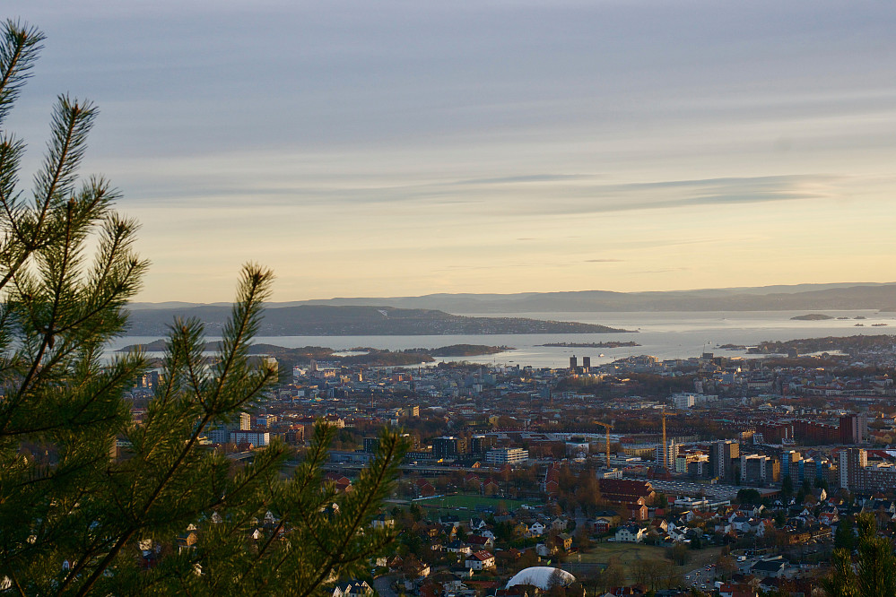 Utsikt fra Grefsenåsen mot Oslo