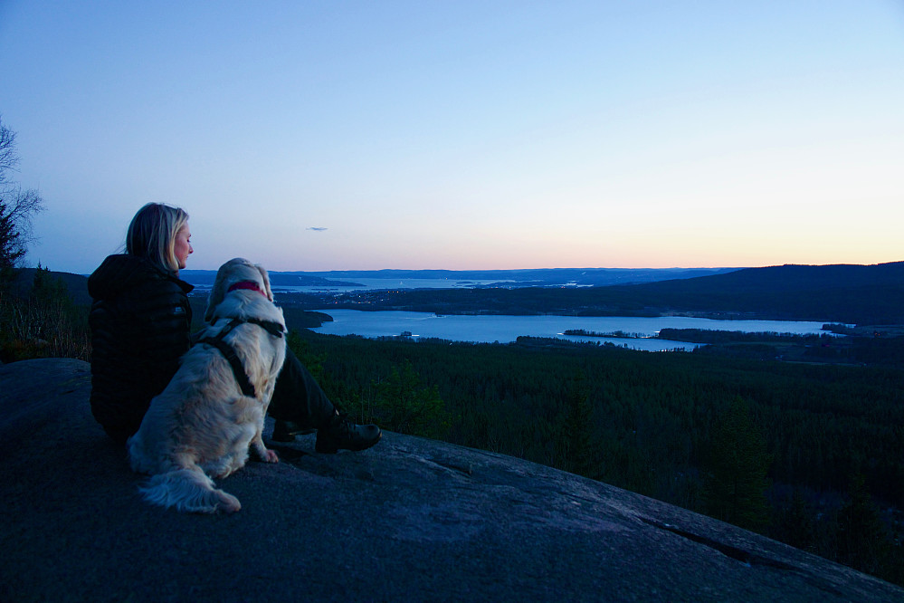 Maridalsvannet sett fra Barlindåsen utsiktspunkt