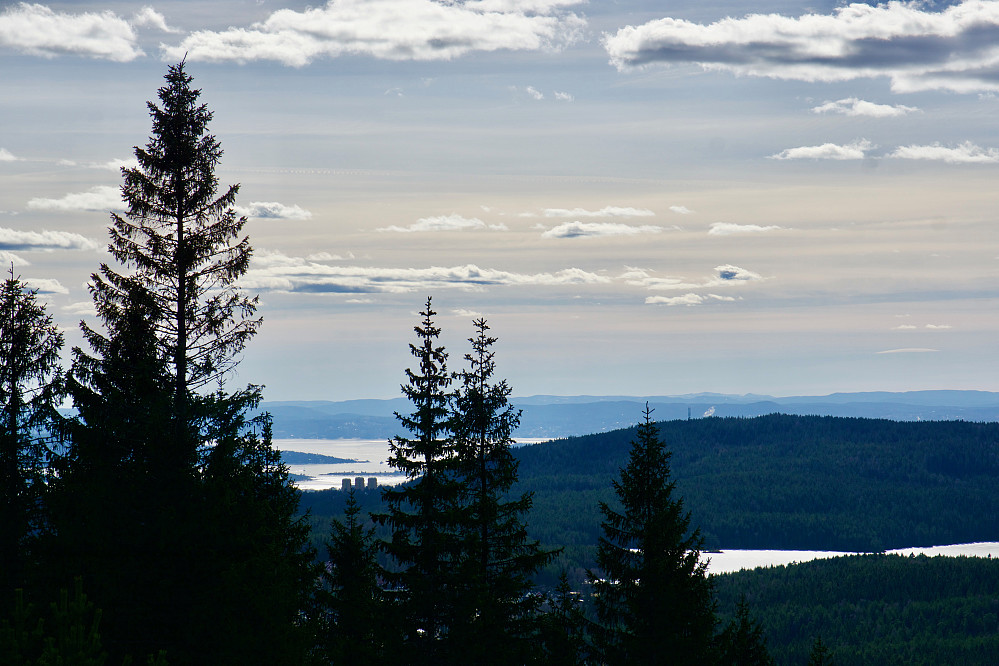 Utsikt fra Røverkollen