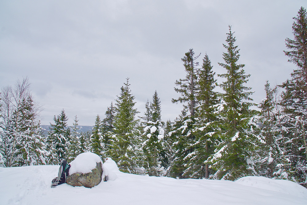 Molikåsen nord