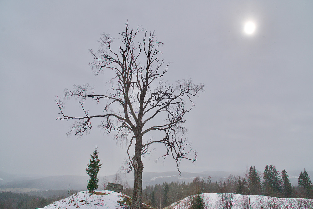 Utsikt fra Storåsen