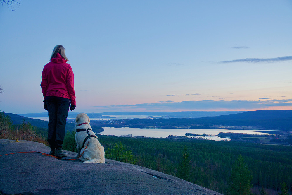 Klassisk utsikt fra utsiktspunktet på Barlindåsen mot Maridalsvannet og Oslofjorden