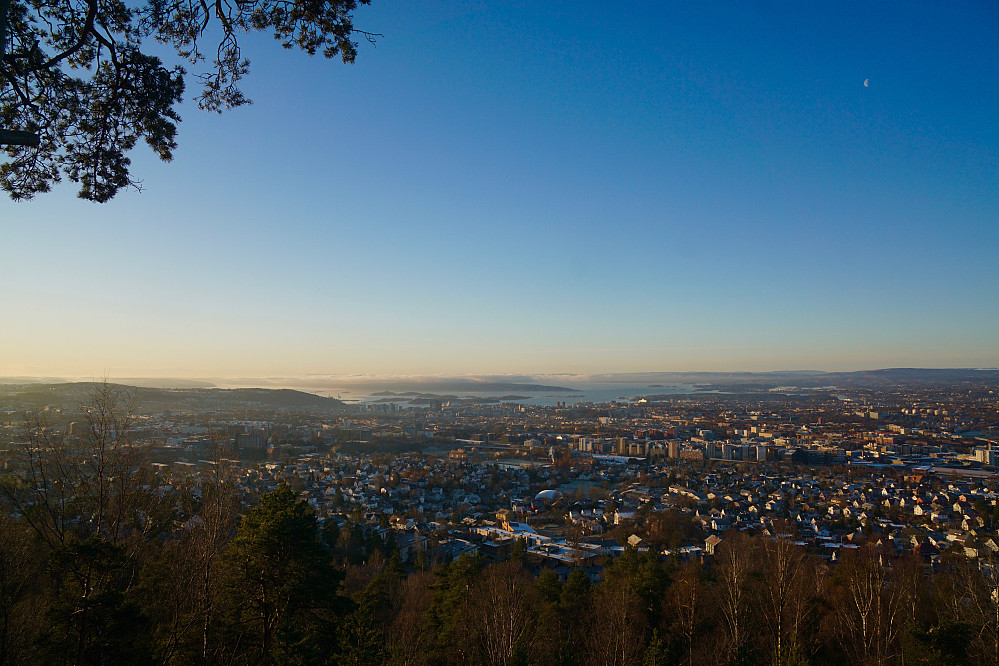 Utsikt over Oslo fra Grefsenåsen