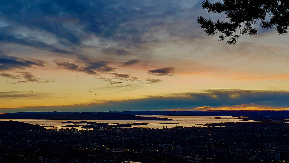 Utsikt over Oslo fra Grefsenåsen