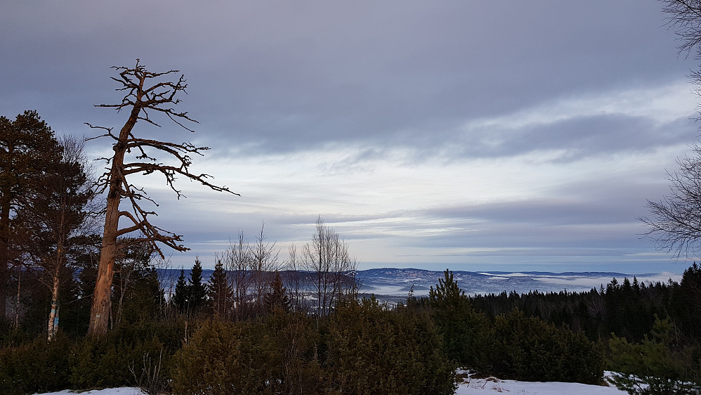 Fra Djupdalsåsen i retning Kolsås og Tryvann