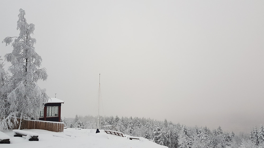 Grått fra Grefsenkollen
