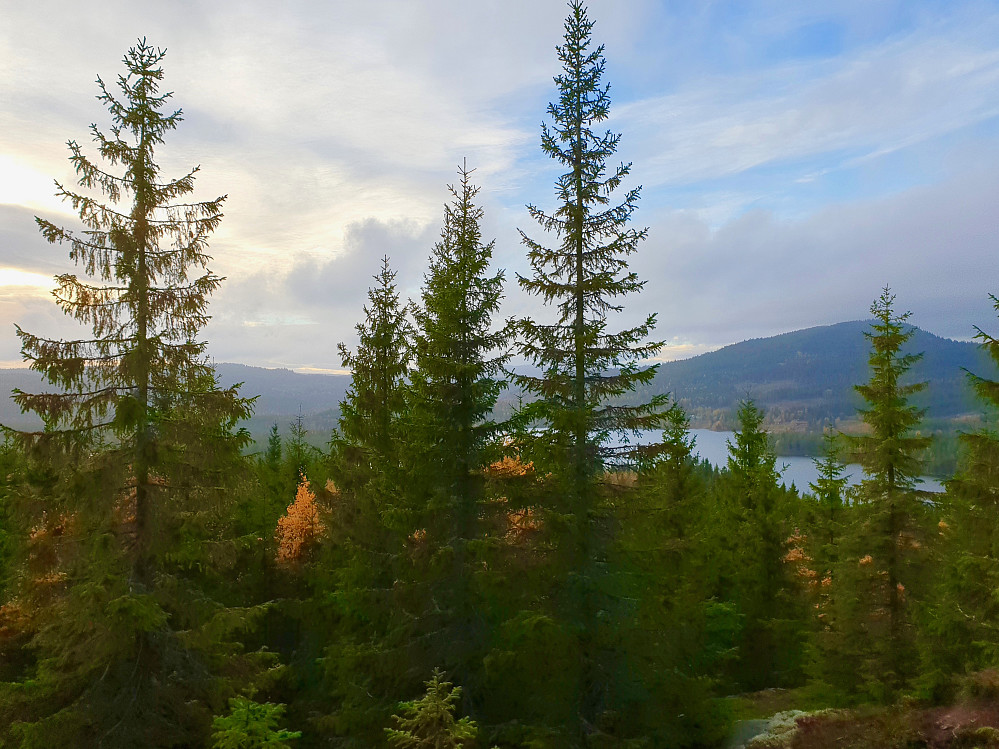 Utsikt litt nedenfor Rådalshøgda nordvest, sett mot Kikkuttoppen, Kikut og Bjørnsjøen