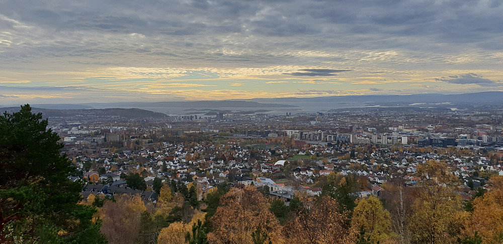 Oslo sett fra et av utsiktspunktene nedenfor Grefsenkollen