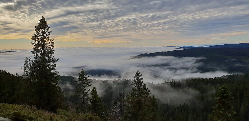 Utsikt fra Gaupekollen utsiktspunkt, mot Maridalen