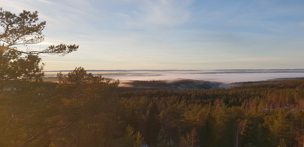 Utsikt mot vest, sett fra toppen av tårnet