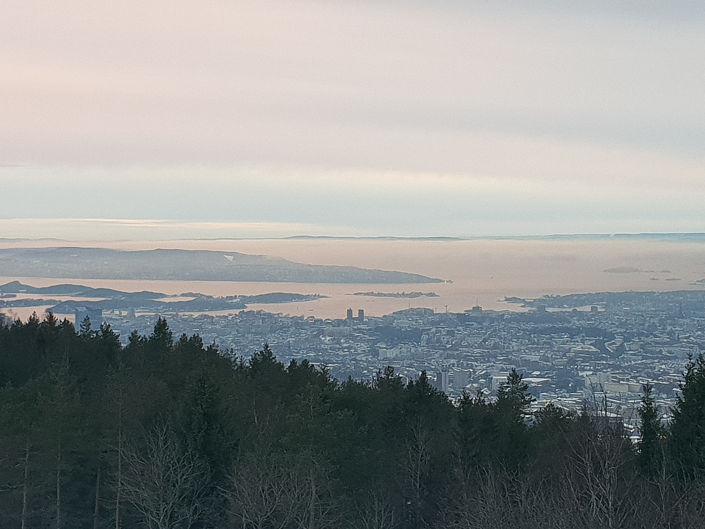 Utsikt fra Grefsenkollen