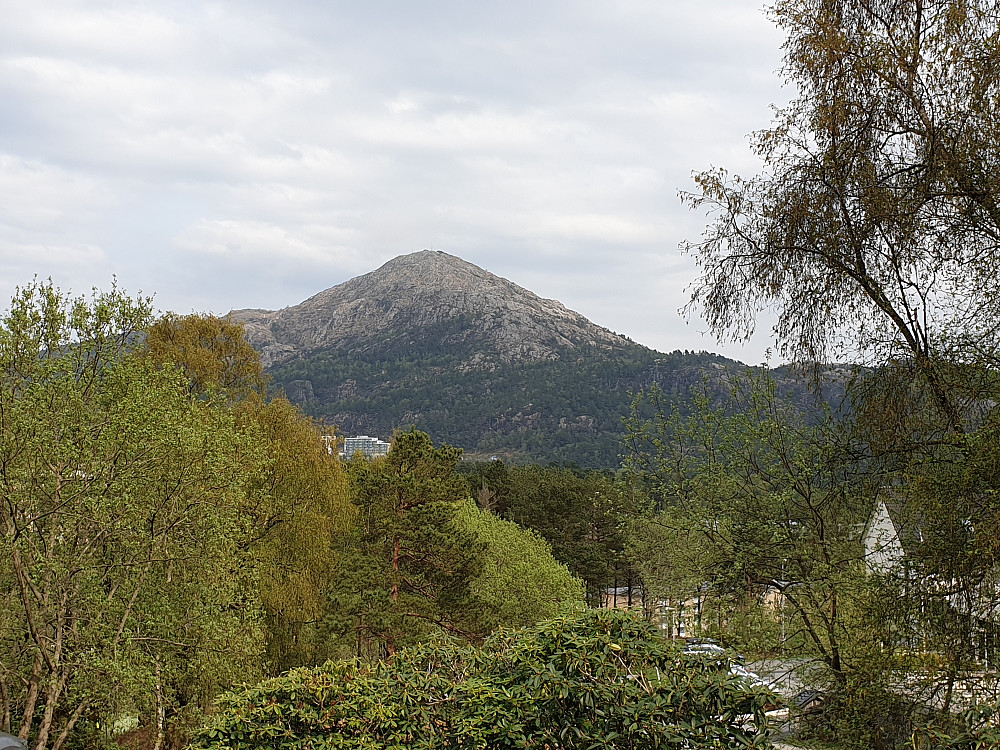 Lyderhorn sett fra Hetlevikåsen (etter turen)