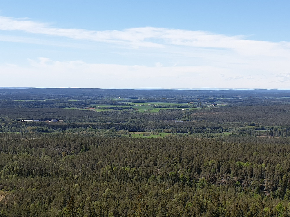 Utsikt fra branntårnet