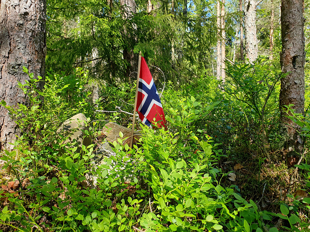 Toppunktet på Vardeåsen