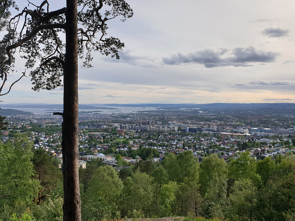 Oslo sett fra et av utsiktspunktene i Grefsenåsen