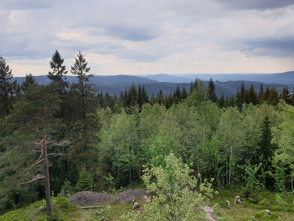 Fra utsiktstårnet på Røverkollen, sett i retning Nittedal og Varingskollen