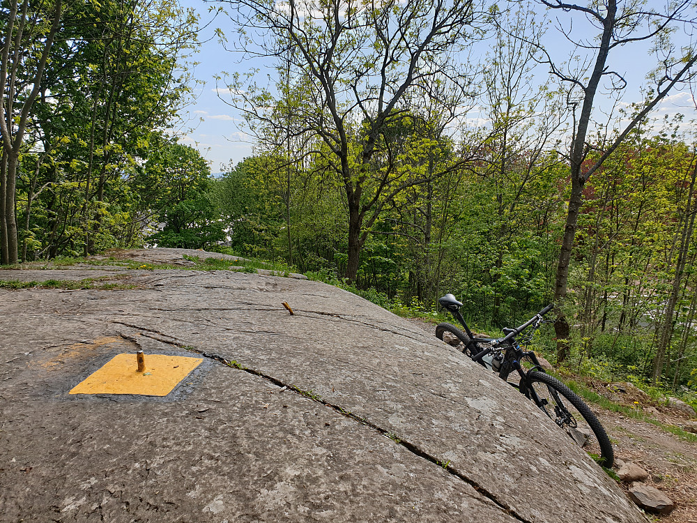 Tørtberg i Frognerparken