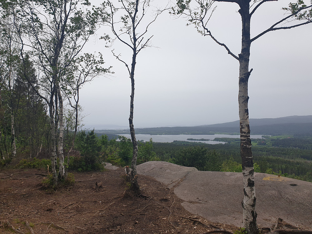Maridalsvannet sett fra Barlindåsen utsiktspunkt