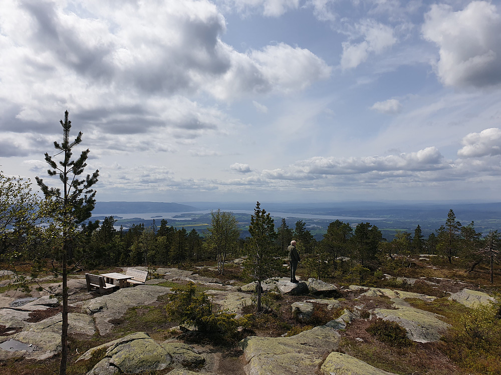 Utsikt fra Ringkollen mot bl.a. Tyrifjorden