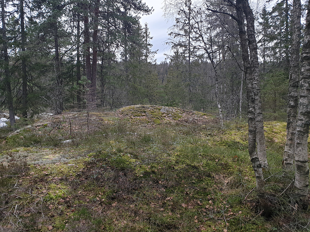 Furumokollen
