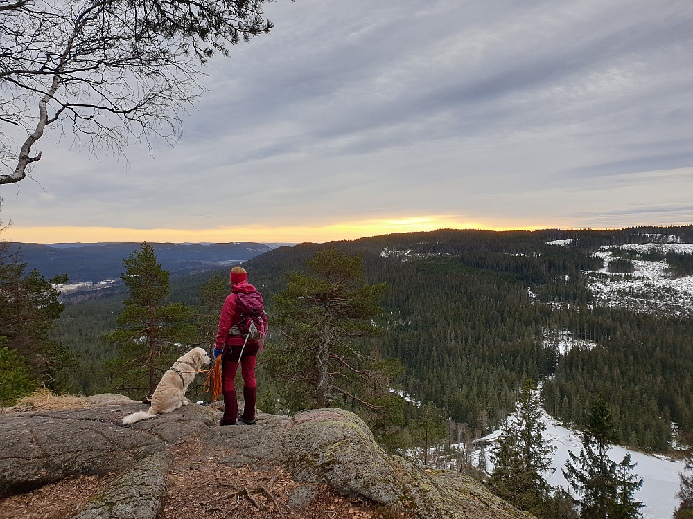 Utsikt mot Maridalsvannet, Fagervann og demningen på Øyungen, sett fra et av utsiktspunktene på Øyungskollen