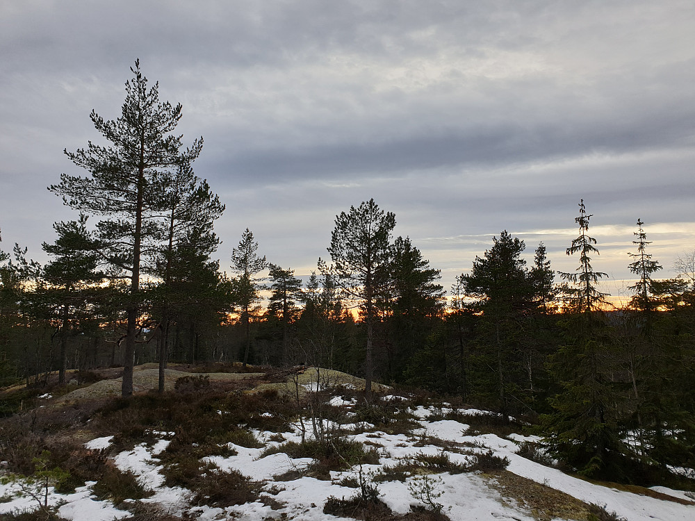 Utsikt fra Lyberga