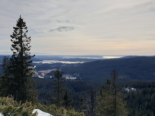 Utsikt fra Gaupekollen utsiktspunkt