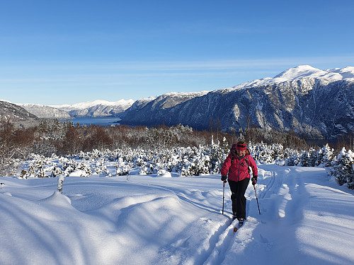 Flott skiføre i stigningen opp mot Heimerhaugane