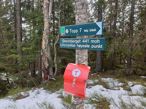 Brennberget, høyeste punkt i Lillomarka