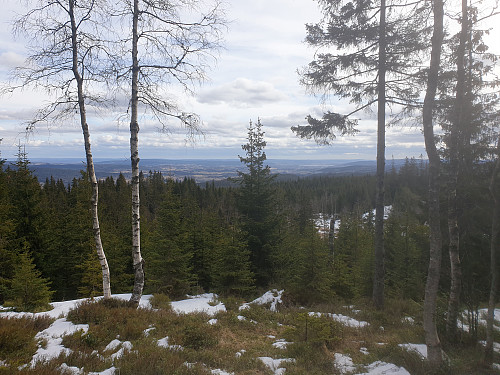 Utsikt mot nedre Romerike og Øyeren, sett fra utsiktspunktet nedenfor Brennberget