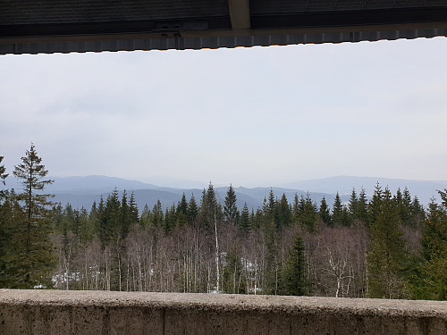 Varingskollen sett fra utkikkstårnet på 

Røverkollen