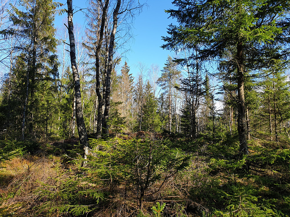 Nes bygdeborghøgda i Maridalen