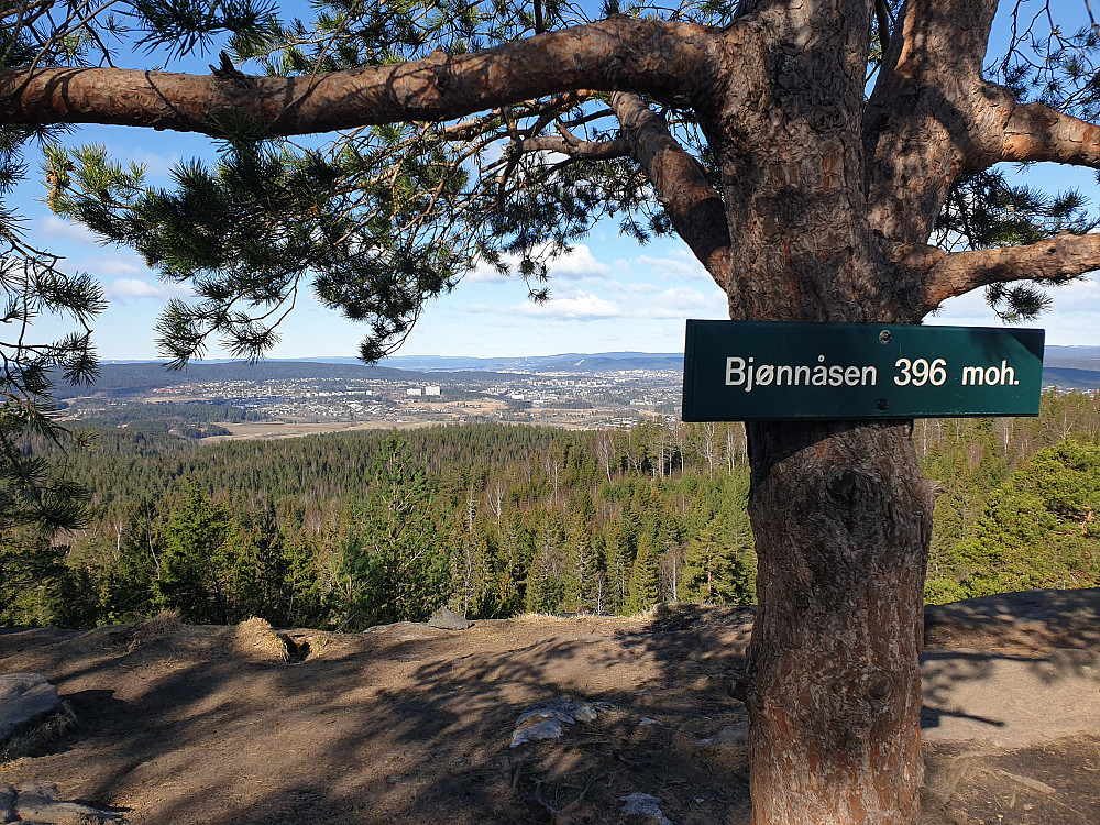 Utsikt fra Bjønnåsen, den nest høyeste toppen i Østmarka, sett i retning Oslo