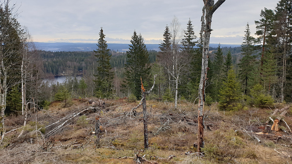 Utsikt mot Gjeddevann fra Sæteråsen, dagens høyeste topp