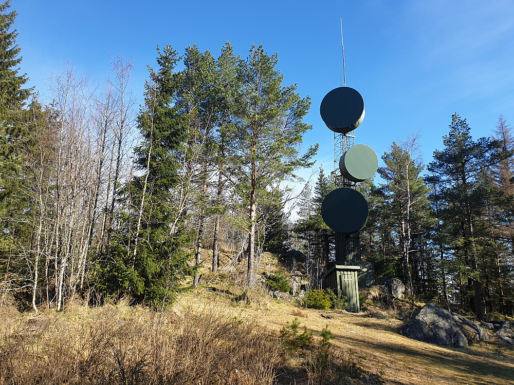 Svartåsen