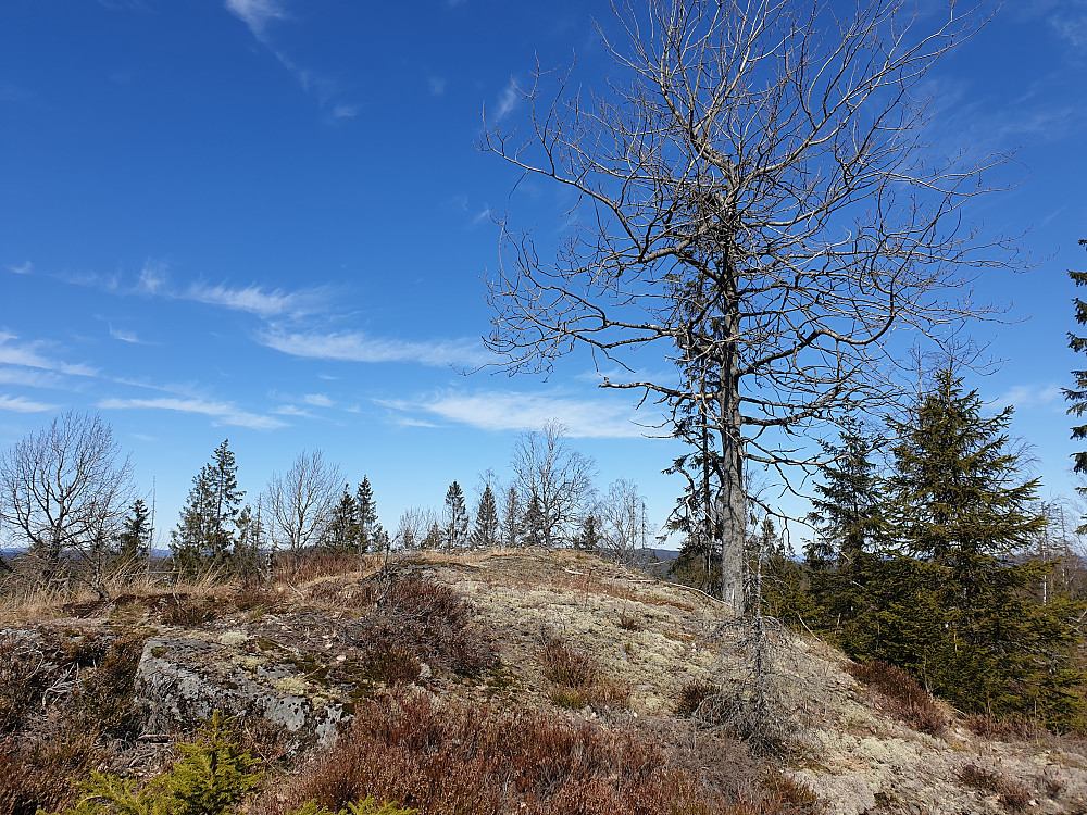 Pipåsen