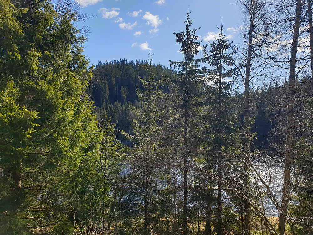 Romsås med vannet Fiskelausa i forgrunnen