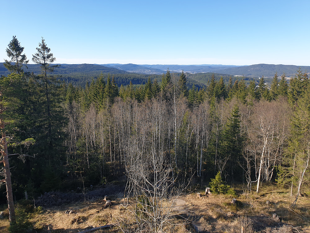 Utsikt fra tårnet på Røverkollen