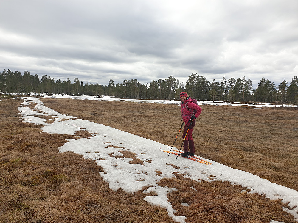 Litt begrenset med snø i skiløypa ved Lygna p-plass