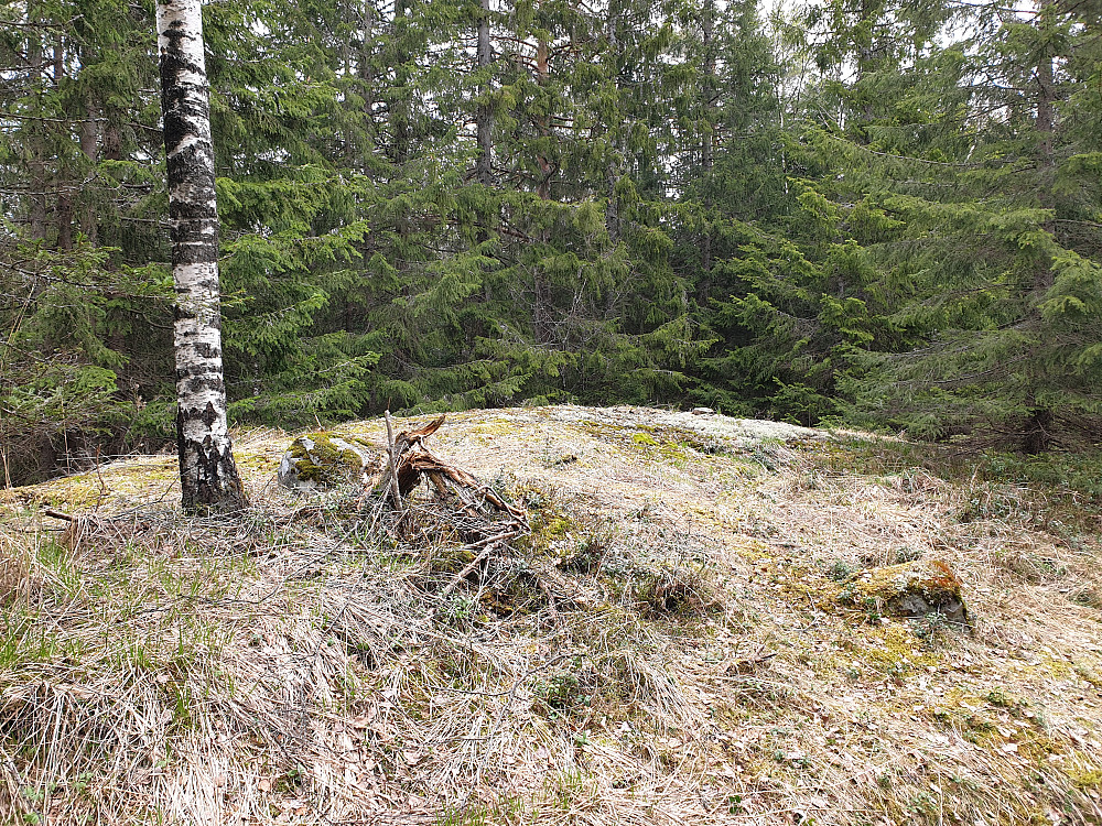 Ramndalskollen