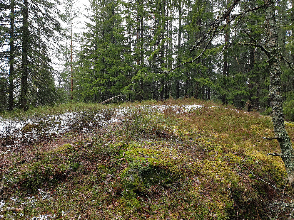 Trollsnesfjellet