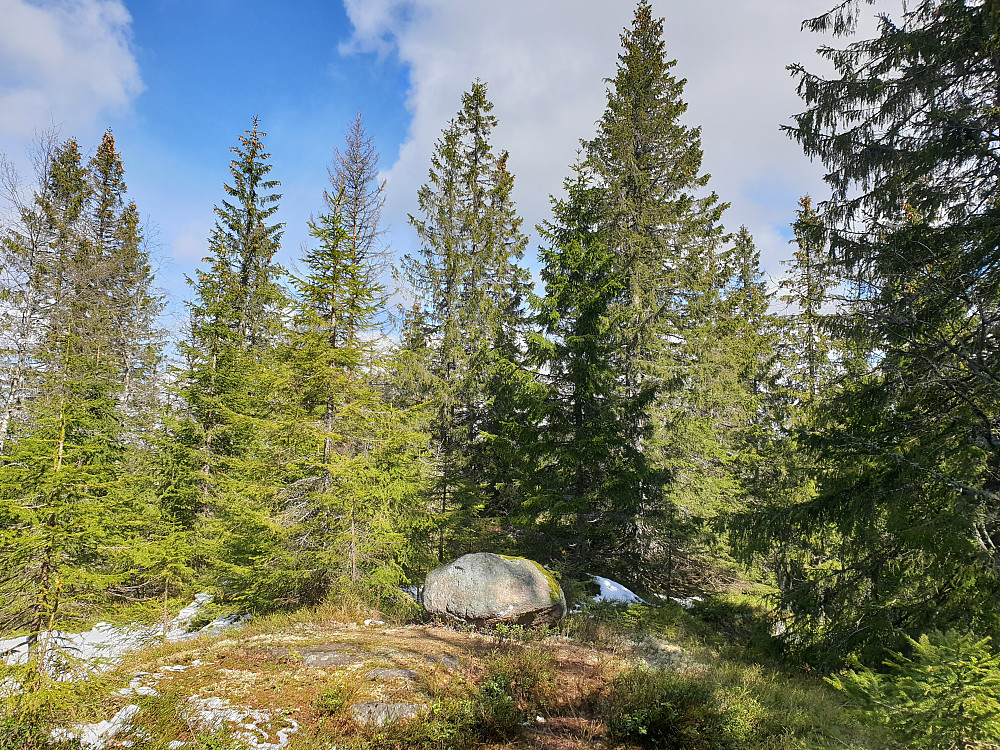 Fyllingskollen, like ovenfor kjentmannspost nr. 30