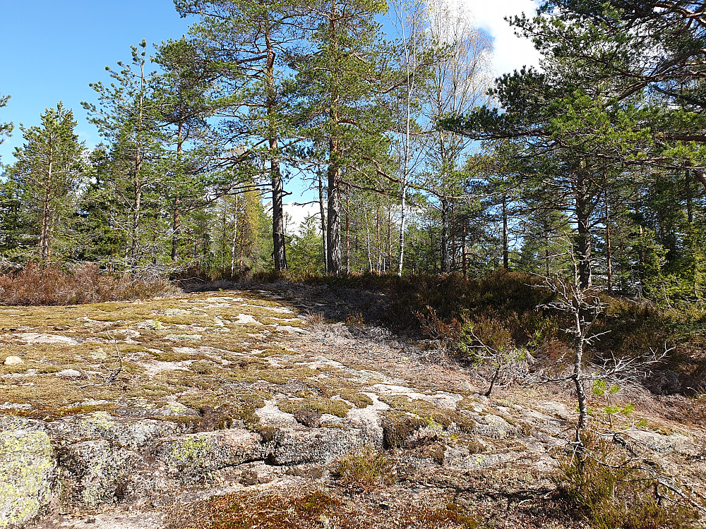 Blåfjell