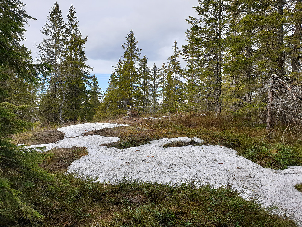 Glotjernskollen