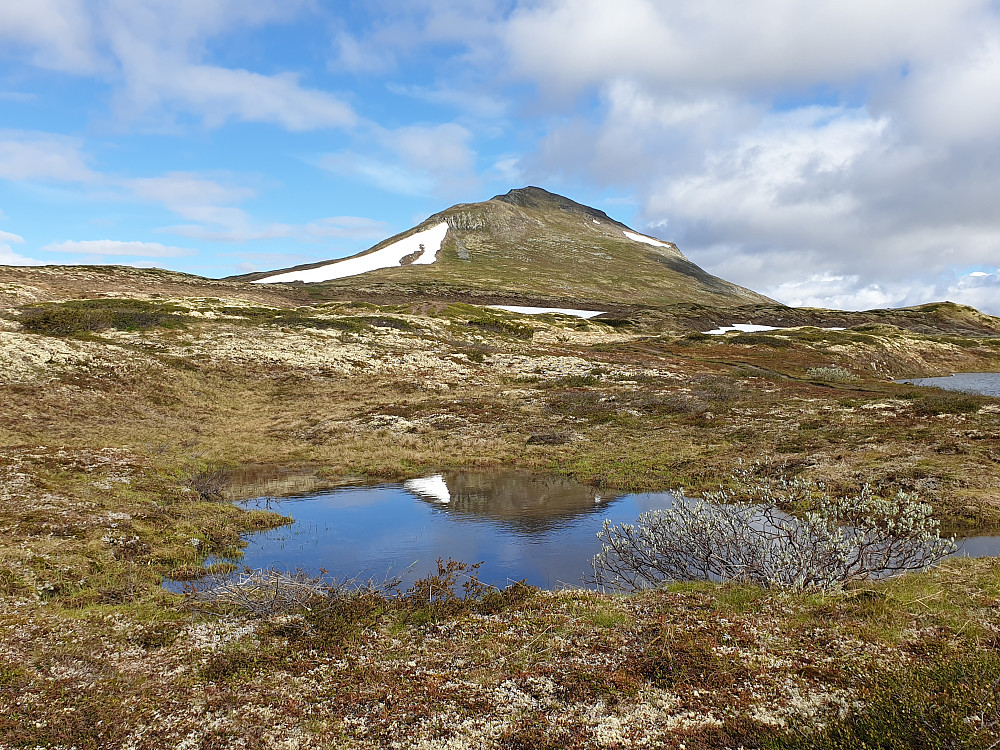 Forollhogna sett fra stien 
