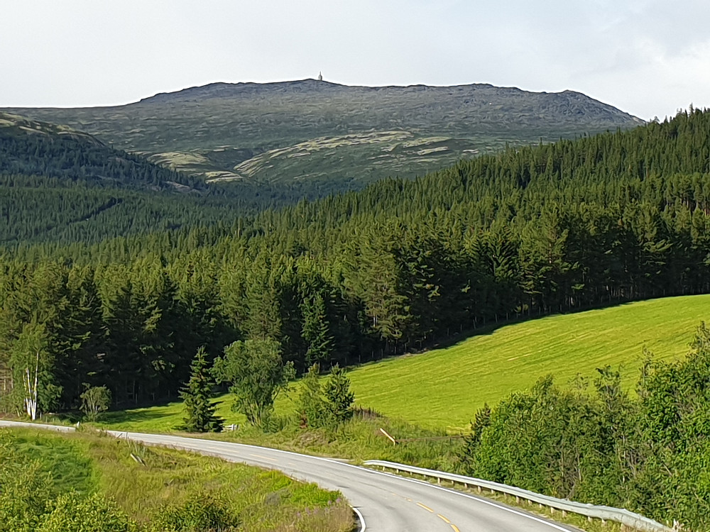 Tron og Tylldalstoppen sett fra 
Alvdal