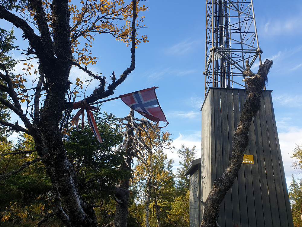 Antennemasta og flagget på Torsæterkampen