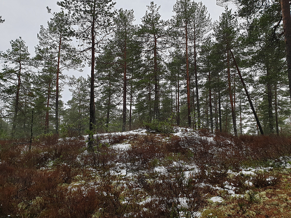 Sagstuåsen