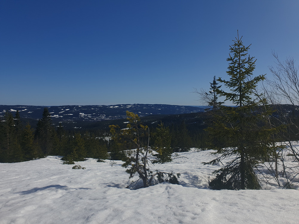 Utsikt fra Bislingflaka, mot Varingskollen
