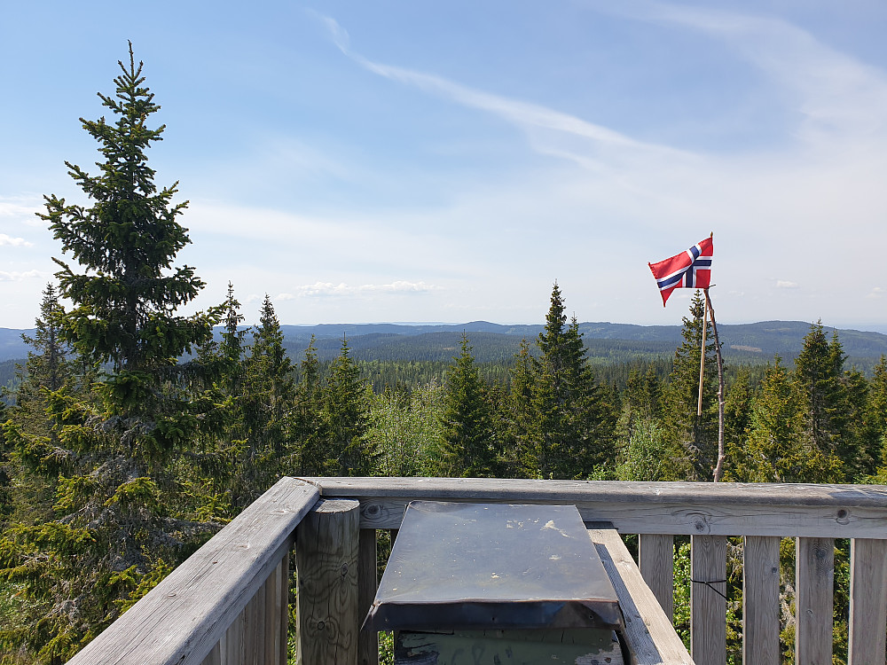 Fra utsiktstårnet på Svarttjernshøgda, med utsikt i retning Ringkollen